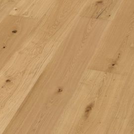 Oak No 33 - Clarence